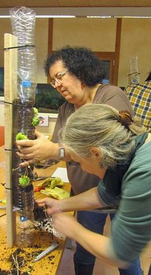 Ecoactivitat per aprendre a cultivar un jardí vertical al balcó amb materials reciclats