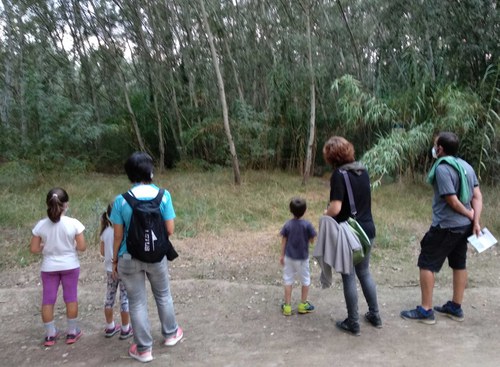 Imatge de la notícia Ecoactivitat per descobrir la vida a la Mitjana quan es fa fosc 