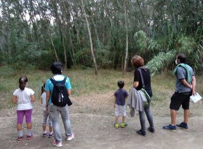 Ecoactivitat per descobrir la vida a la Mitjana quan es fa fosc 