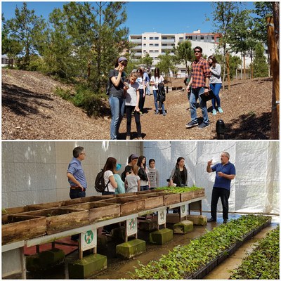 Ecodescoberta al primer bosc urbà de la ciutat