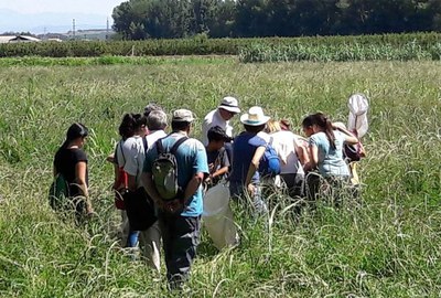 Ecodescoberta sobre els insectes de Lleida