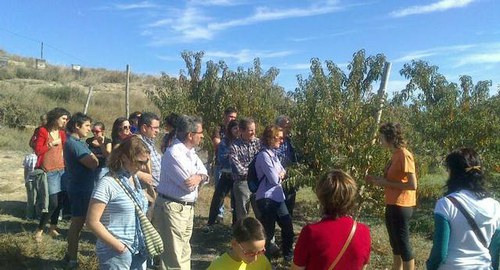 Imatge de la notícia El cap de setmana de portes obertes a les explotacions de l'Horta atrau més de 600 persones 