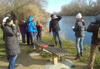 El cens d'aus aquàtiques a la Mitjana avista deu espècies diferents 