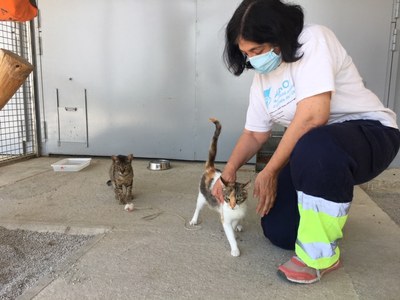 El Centre d’Acollida d’Animals de Companyia reprèn les adopcions després de l’aturada per la Covid19 