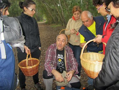 El curs d'identificació de bolets detecta 10 espècies noves a la Mitjana