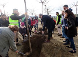 El paer en cap, Fèlix Larrosa, assisteix a la plantada d’arbres a l’escola El Vilot de Sucs 