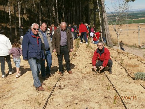 Imatge de la notícia El Parc del Vilot de Sucs amplia la seva flora amb 3.000 plantes aromàtiques