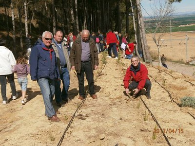 El Parc del Vilot de Sucs amplia la seva flora amb 3.000 plantes aromàtiques