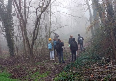 El primer cens d’ocells de l’any registra prop de 500 identificacions