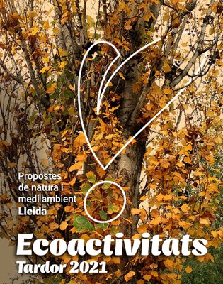 El programa d’ecoactivitats de tardor comença diumenge amb una proposta per observar artròpodes 