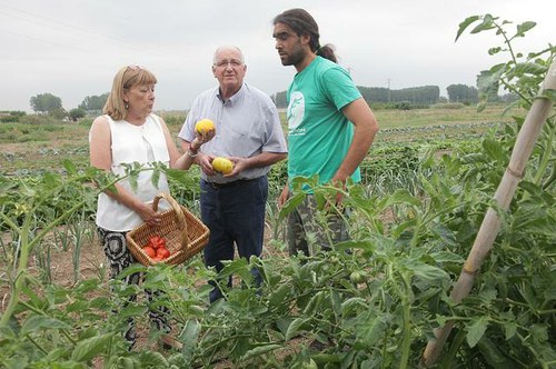 Imatge de la notícia El Viver d'Agricultors de Rufea dóna els seus primers fruits