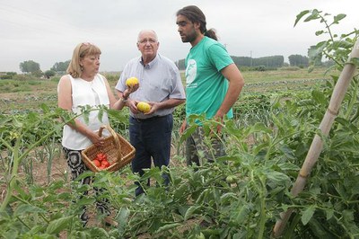 El Viver d'Agricultors de Rufea dóna els seus primers fruits