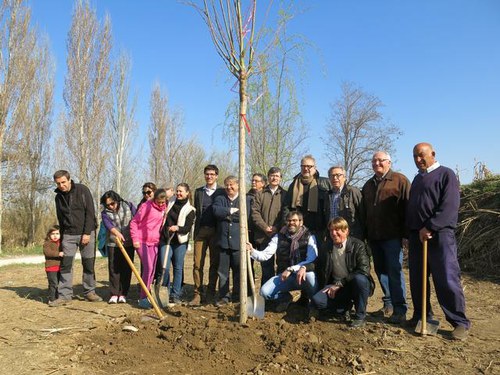 Imatge de la notícia El Xoperal del Tòfol guanya quatre arbres més
