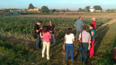 Els agricultors de l'Horta atansen a la ciutadania la seva activitat