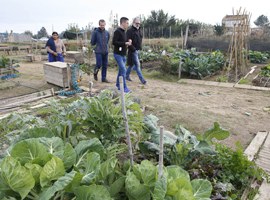 Els agricultors de l’Horta donen a conèixer la seva activitat i productes amb visites comentades 