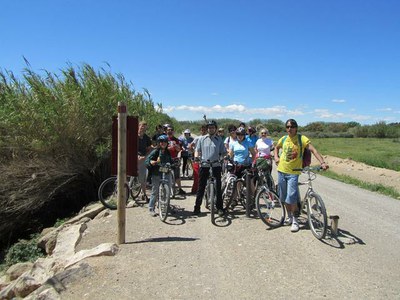 Els Aiguamolls de Rufea, referent per a l'observació de fauna de zones humides a Lleida