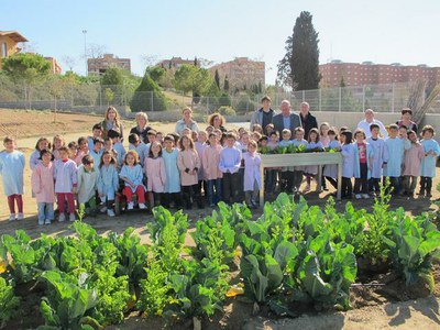 Els alumnes de l'Escola Països Catalans planten arbres al pati per millorar el seu entorn natural més proper