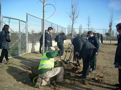 Els alumnes de l'INS Maria Rúbies realitzen una plantada d'arbres i arbusts al centre escolar dins el programa Agenda 21 Escolar