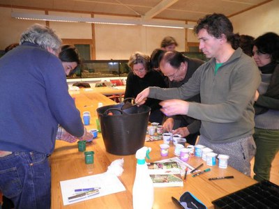 Els lleidatans cultiven cada cop més les pròpies hortalisses de forma ecològica