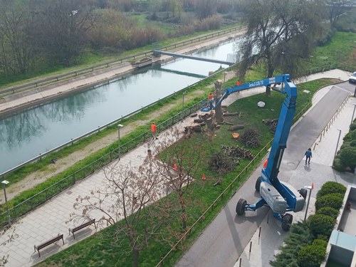 Imatge de la notícia Els serveis de Jardineria talen un arbre que corria risc de caiguda a la plaça Sant Joan 