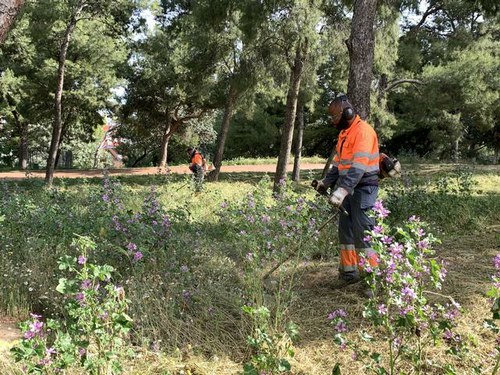 Imatge de la notícia Els serveis de manteniment de la jardineria municipal posen a punt els parcs i jardins de la ciutat 