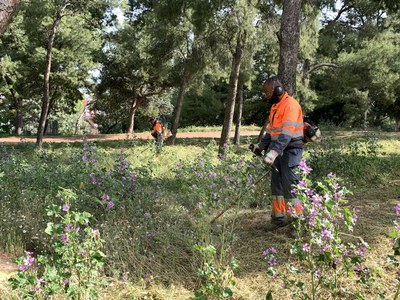 Els serveis de manteniment de la jardineria municipal posen a punt els parcs i jardins de la ciutat 