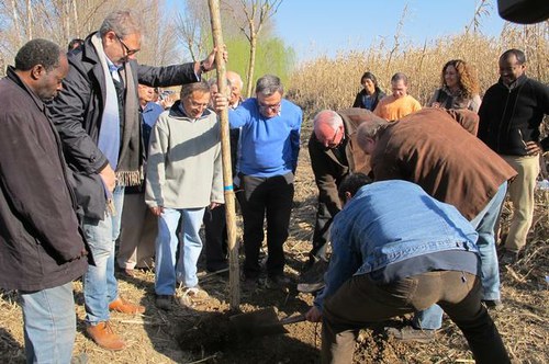 Imatge de la notícia Els veïns de l'Horta celebren el dia de l'Arbre amb la tradicional plantada al Xoperal del Tòfol