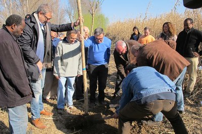 Els veïns de l'Horta celebren el dia de l'Arbre amb la tradicional plantada al Xoperal del Tòfol