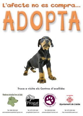 En marxa la campanya "L'afecte no es compra...ADOPTA"!