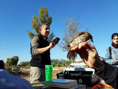 Estació d'anellament d'ocells a Rufea