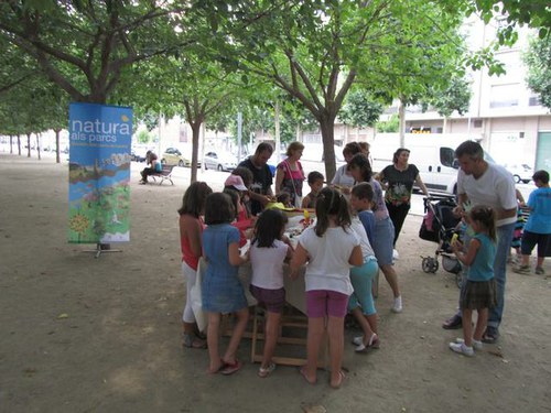 Imatge de la notícia Èxit de la primera activitat de Natura als Parcs