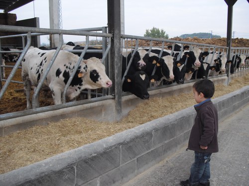 Imatge de la notícia Èxit de participació a les jornades de portes obertes a l'Horta de Lleida 