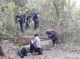 Imatge de la notícia Èxit del curs de macrofotografia de natura al Parc Municipal de la Mitjana 