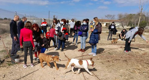 Imatge de la notícia Exitosa ecodescoberta al Refugi dels Peluts 