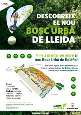 Imatge de la notícia Gran plantada d’arbres per inaugurar el nou bosc urbà de Balàfia