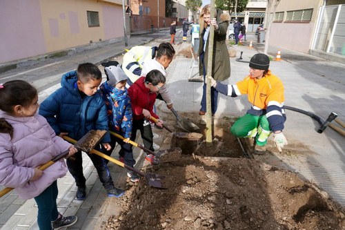 Imatge de la notícia Infants de l’escola Joan Maragall planten quatre lledoners dins el projecte de sendes arbrades