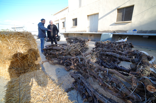 Imatge de la notícia Instal·lació de 19 nous nius de cigonya per l’enderroc de les antigues sitges de Pardinyes 