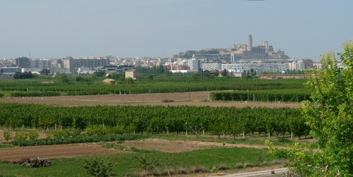 Imatge de la notícia L’Agència de l’Energia de Lleida aporta criteris tècnics d’equilibri territorial, protecció de la biodiversitat i del paisatge per implantar parcs fotovoltaics a l’horta 