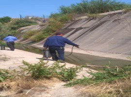 Imatge de la notícia L’Ajuntament de Lleida inicia els treballs de control de mosquits i altres insectes voladors a la ciutat