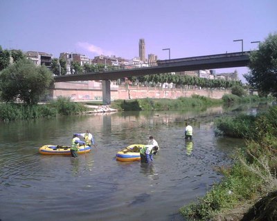 L'Ajuntament de Lleida inicia les tasques de neteja de macròfits de la llera del riu Segre