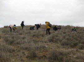 Imatge de la notícia L’Ajuntament de Lleida inicia un cicle de plantacions d’arbres i arbusts als espais naturals i a la ciutat