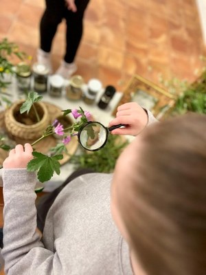 L’Arborètum atansa el coneixement del medi natural urbà a tota la ciutadania