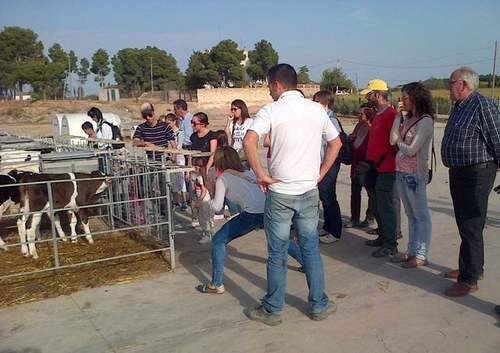 Imatge de la notícia L'Horta de Lleida difon la seva producció agrícola i ramadera amb visites guiades