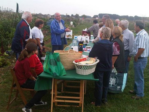 Imatge de la notícia L'Horta de Lleida recupera varietats hortícoles locals tradicionals