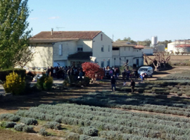 La ciutadania s’interessa pels nous cultius i produccions de l’Horta de Lleida 