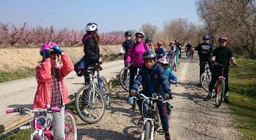 Imatge de la notícia La floració dels fruiters i les aus, protagonistes de despertar de la primavera al Camí Natural del Riu