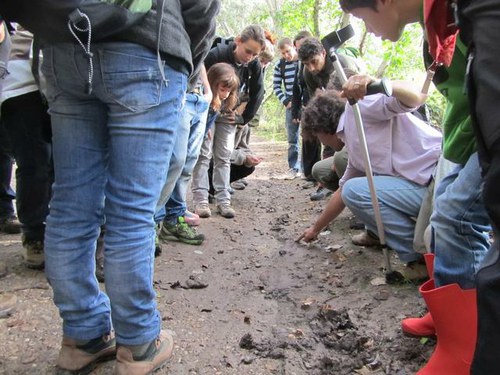 Imatge de la notícia La llúdriga, cada cop més present al Parc de la Mitjana