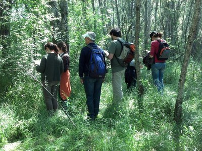 La Mitjana, un lloc excepcional per a l'estudi de la vegetació de les zones humides