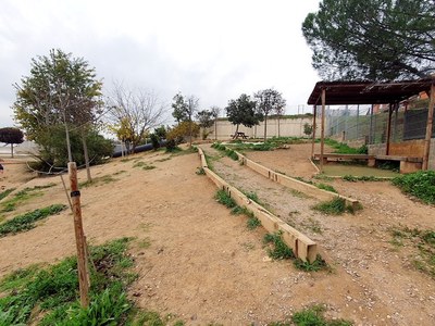 La Paeria arrenca les actuacions dels Oasis de Biodiversitat als patis escolars