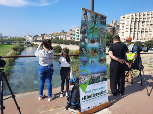 Imatge de la notícia La Paeria commemora el Dia Mundial dels Ocells 